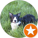 Terry Lanfear Terry Lanfear