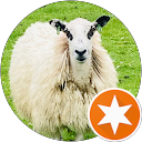 Dr Richard Fishlington Dr Richard Fishlington